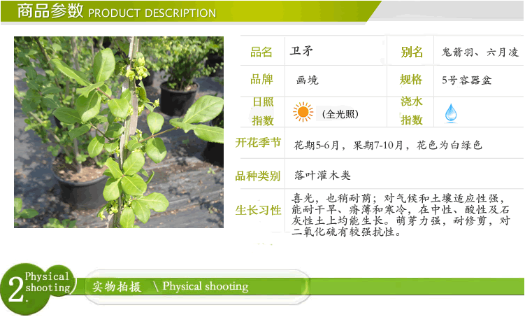 亚洲精品白浆高清久久久久久