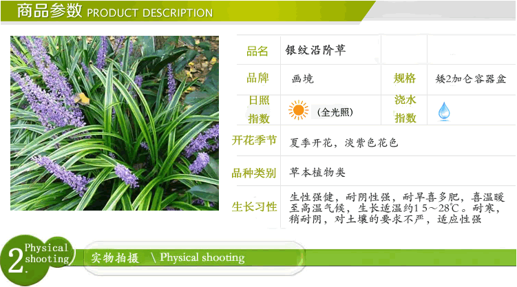 亚洲精品白浆高清久久久久久