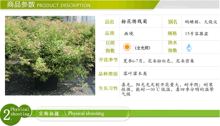 亚洲精品白浆高清久久久久久