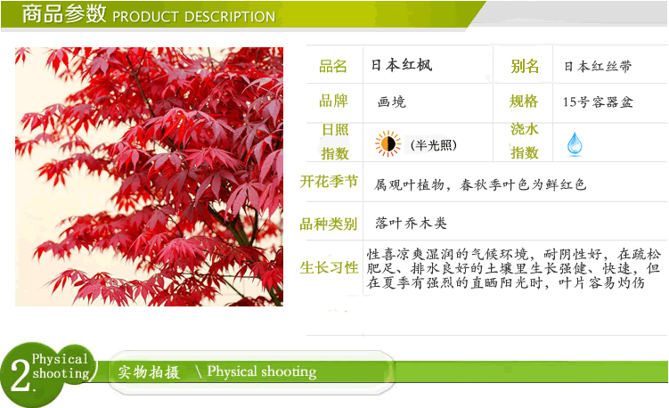 亚洲精品白浆高清久久久久久