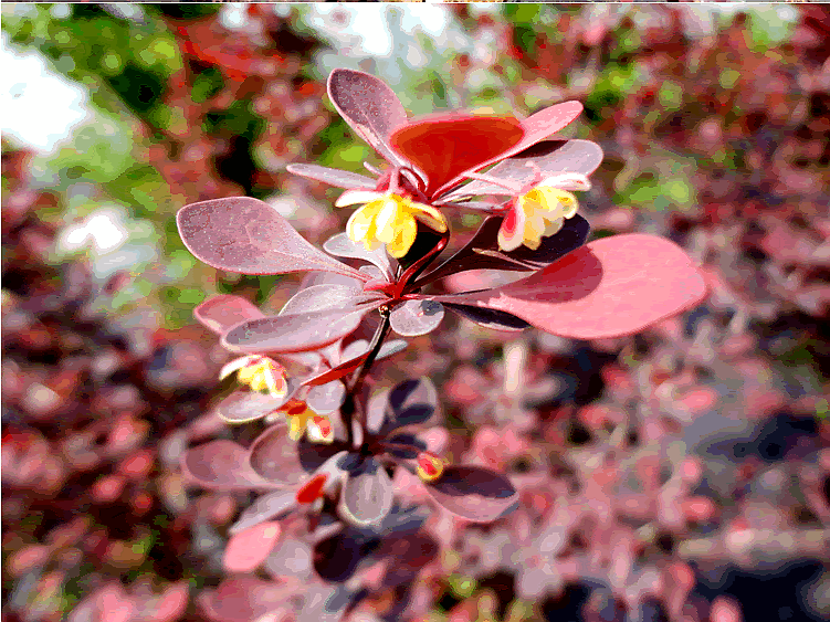 亚洲精品白浆高清久久久久久