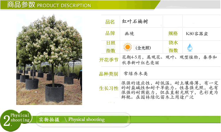 亚洲精品白浆高清久久久久久