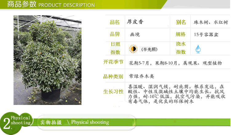 亚洲精品白浆高清久久久久久