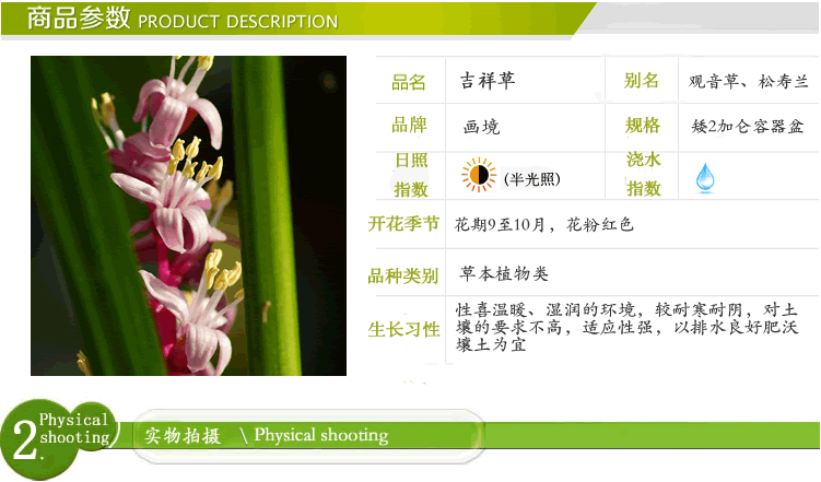 亚洲精品白浆高清久久久久久