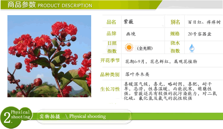 亚洲精品白浆高清久久久久久