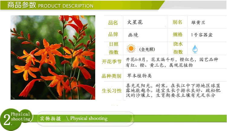 亚洲精品白浆高清久久久久久