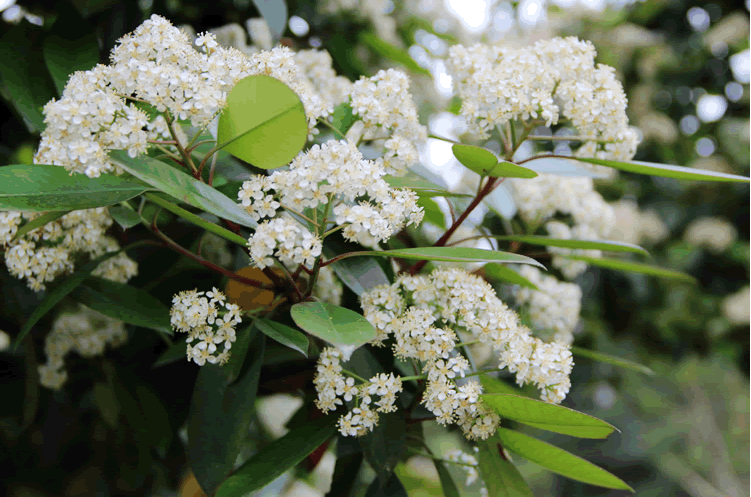 亚洲精品白浆高清久久久久久