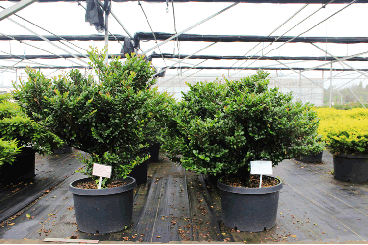 亚洲精品白浆高清久久久久久