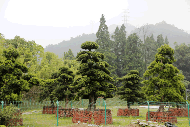 亚洲精品白浆高清久久久久久