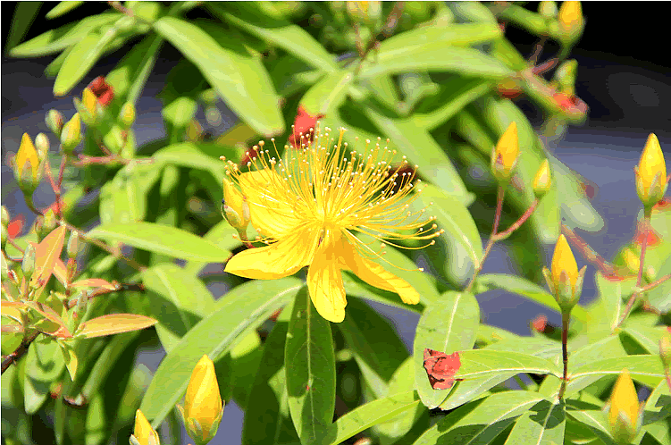 亚洲精品白浆高清久久久久久