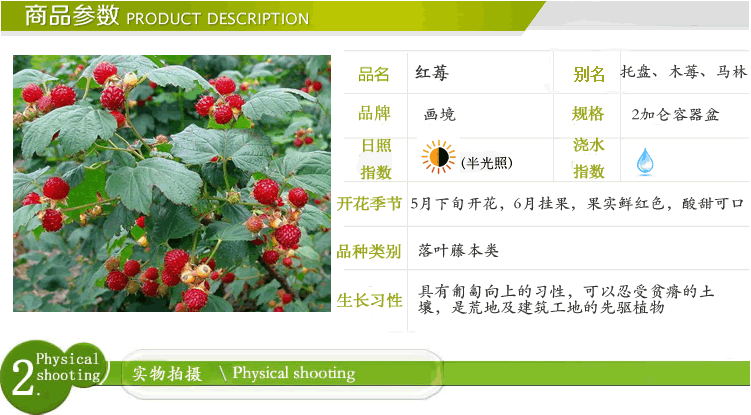 亚洲精品白浆高清久久久久久