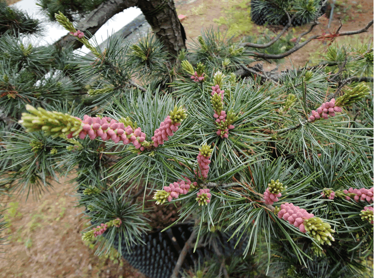 亚洲精品白浆高清久久久久久