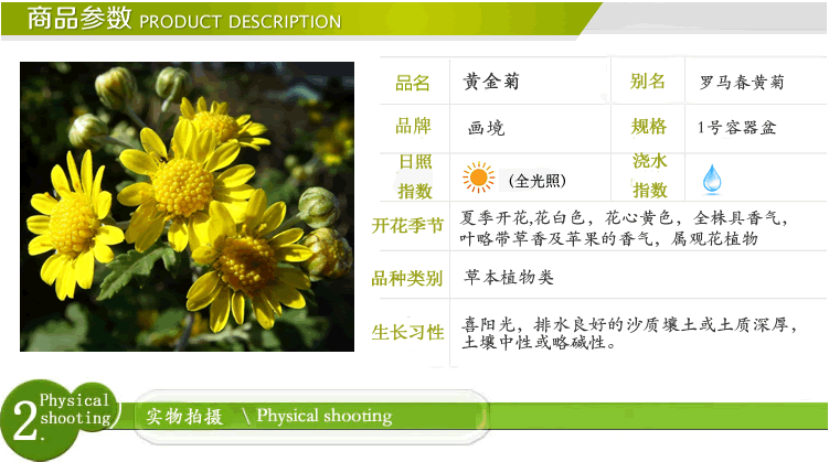 亚洲精品白浆高清久久久久久