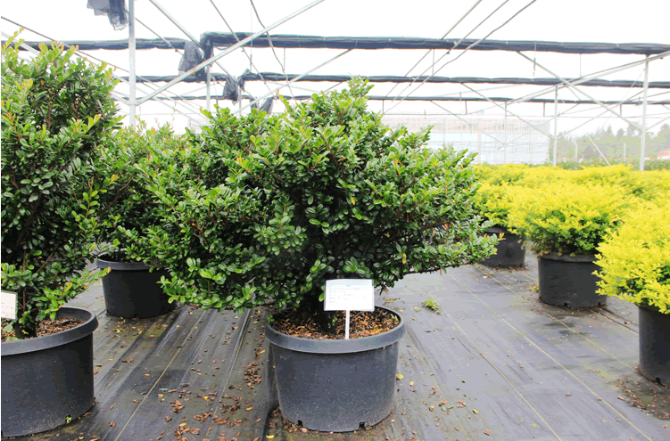 亚洲精品白浆高清久久久久久