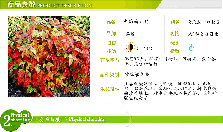 亚洲精品白浆高清久久久久久