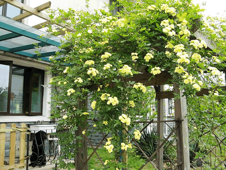 亚洲精品白浆高清久久久久久