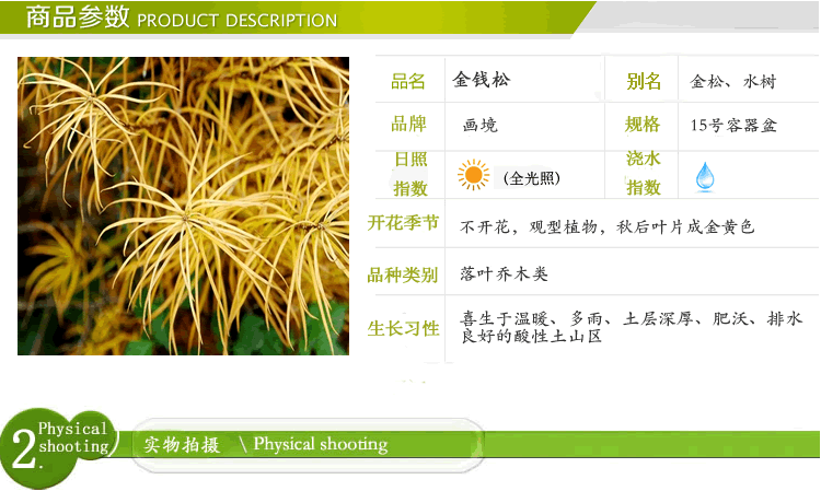 亚洲精品白浆高清久久久久久