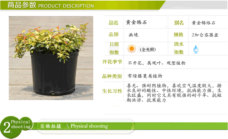 亚洲精品白浆高清久久久久久