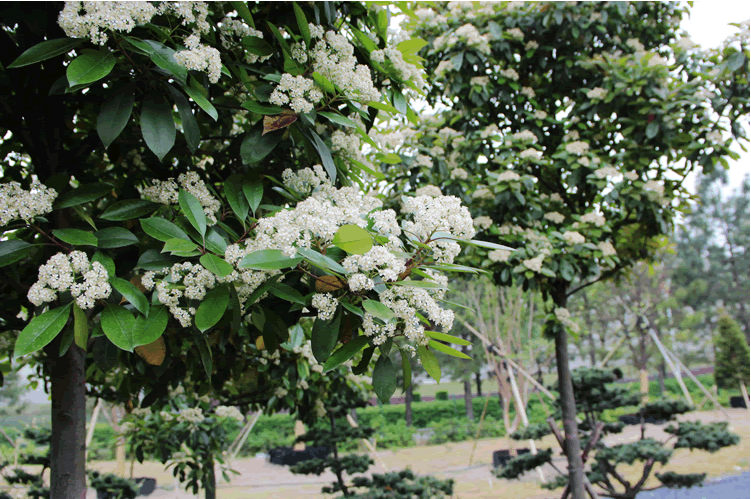 亚洲精品白浆高清久久久久久