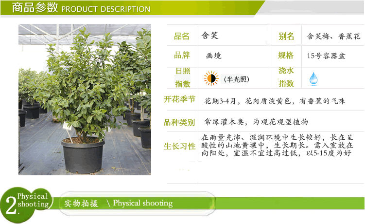 亚洲精品白浆高清久久久久久