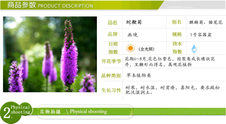 亚洲精品白浆高清久久久久久