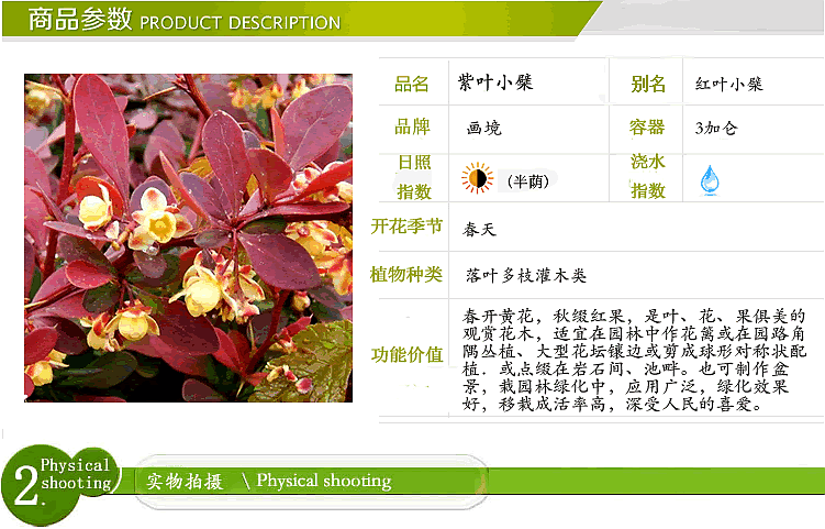 亚洲精品白浆高清久久久久久