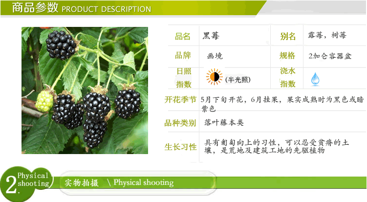 亚洲精品白浆高清久久久久久