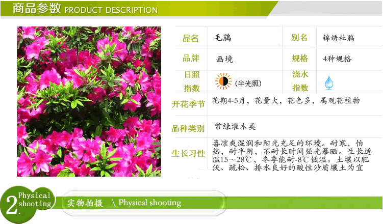 亚洲精品白浆高清久久久久久