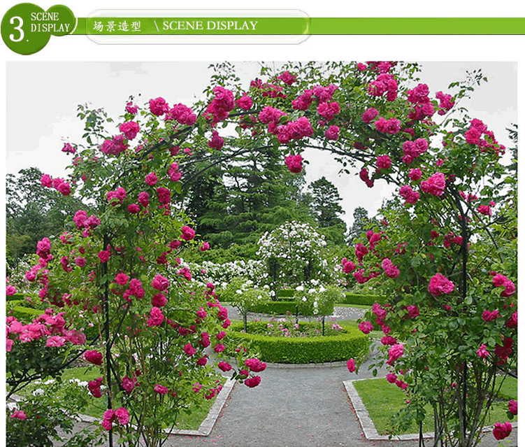 亚洲精品白浆高清久久久久久