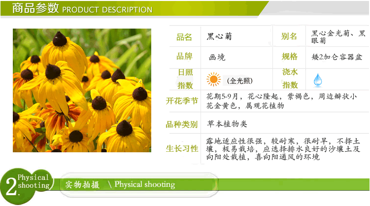 亚洲精品白浆高清久久久久久