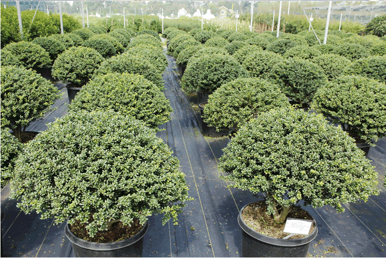 亚洲精品白浆高清久久久久久