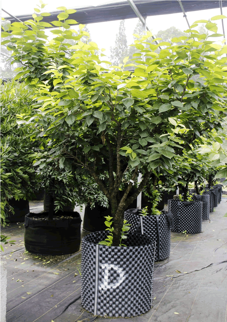 亚洲精品白浆高清久久久久久