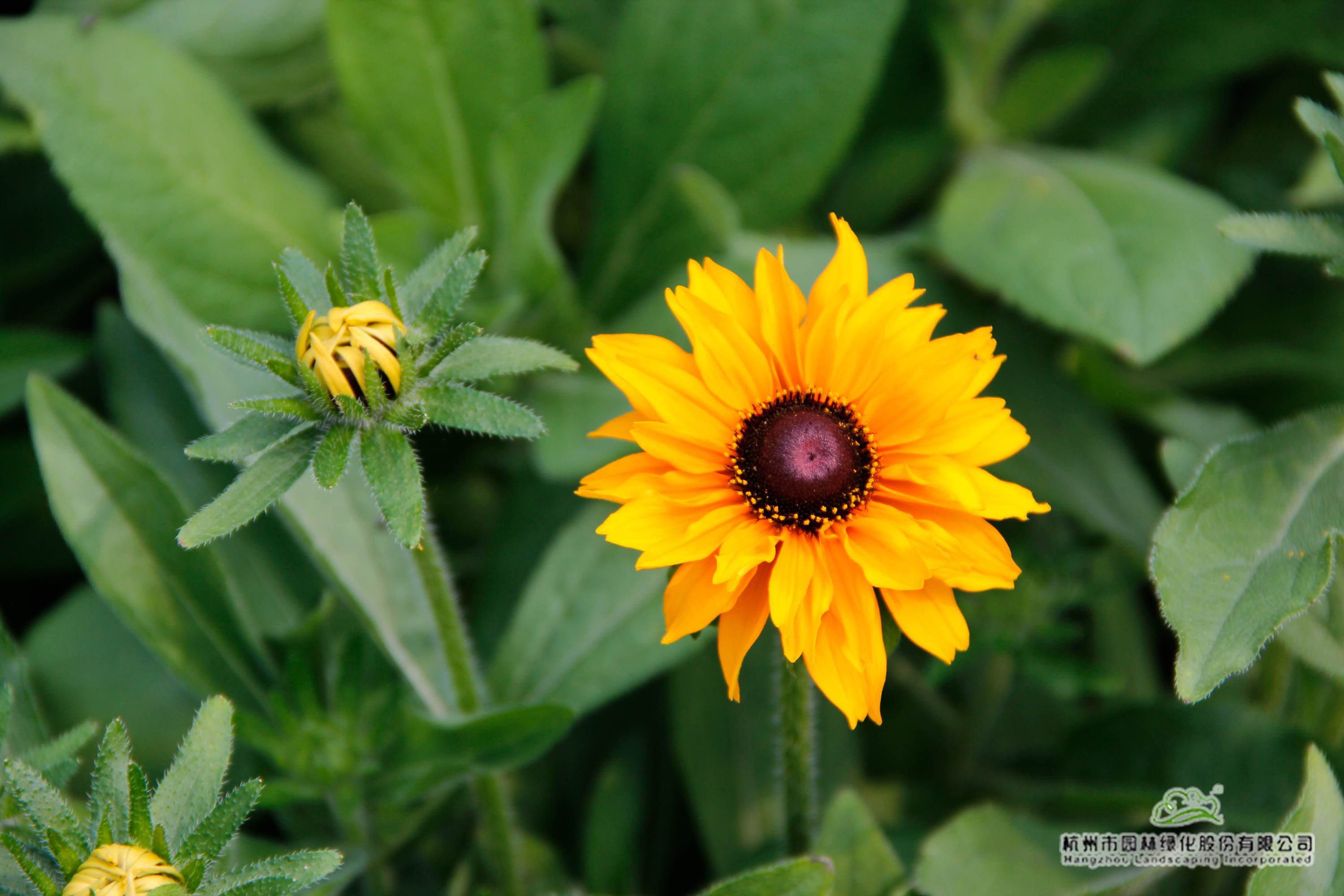 亚洲精品白浆高清久久久久久