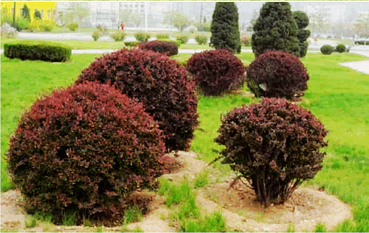 亚洲精品白浆高清久久久久久