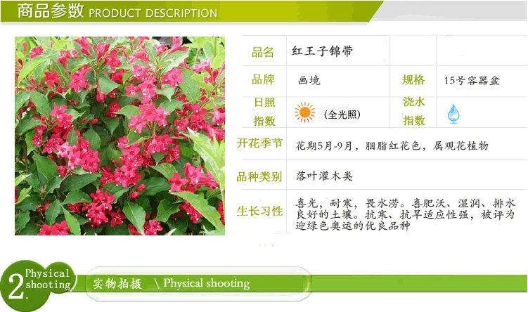 亚洲精品白浆高清久久久久久