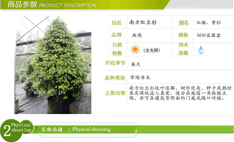 亚洲精品白浆高清久久久久久