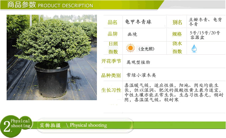 亚洲精品白浆高清久久久久久