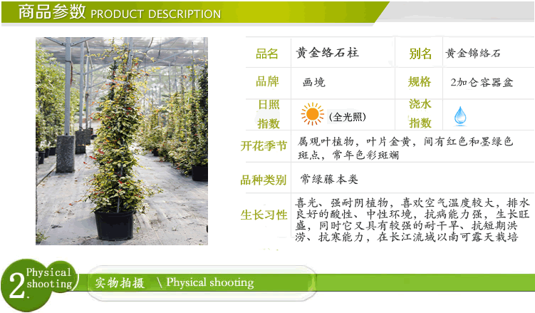 亚洲精品白浆高清久久久久久