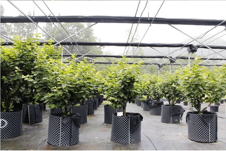 亚洲精品白浆高清久久久久久