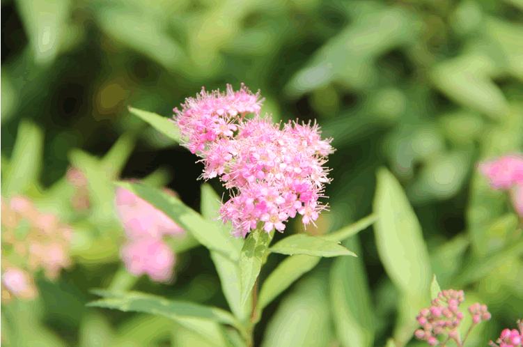 亚洲精品白浆高清久久久久久