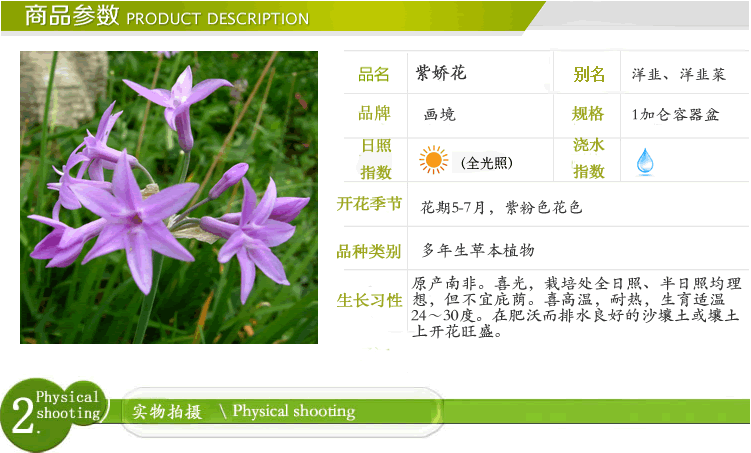 亚洲精品白浆高清久久久久久