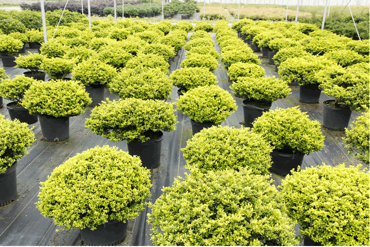 亚洲精品白浆高清久久久久久