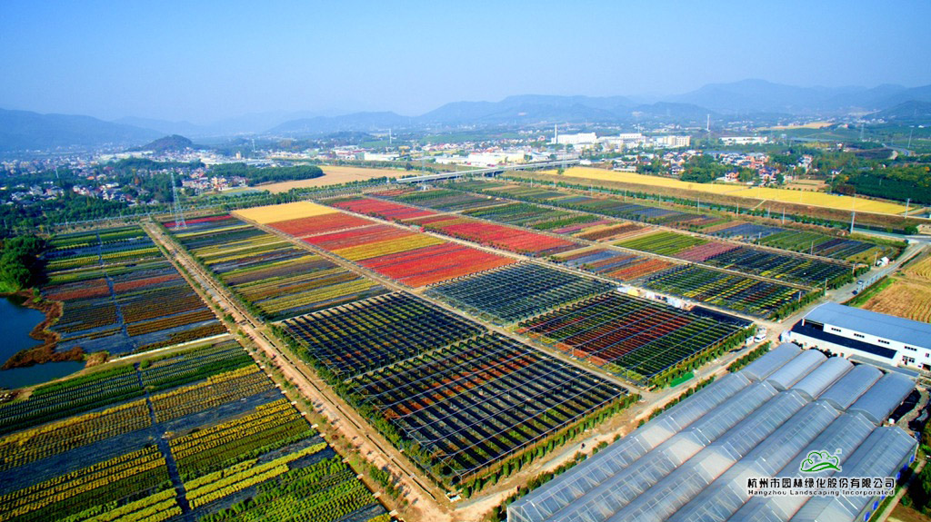 亚洲精品白浆高清久久久久久