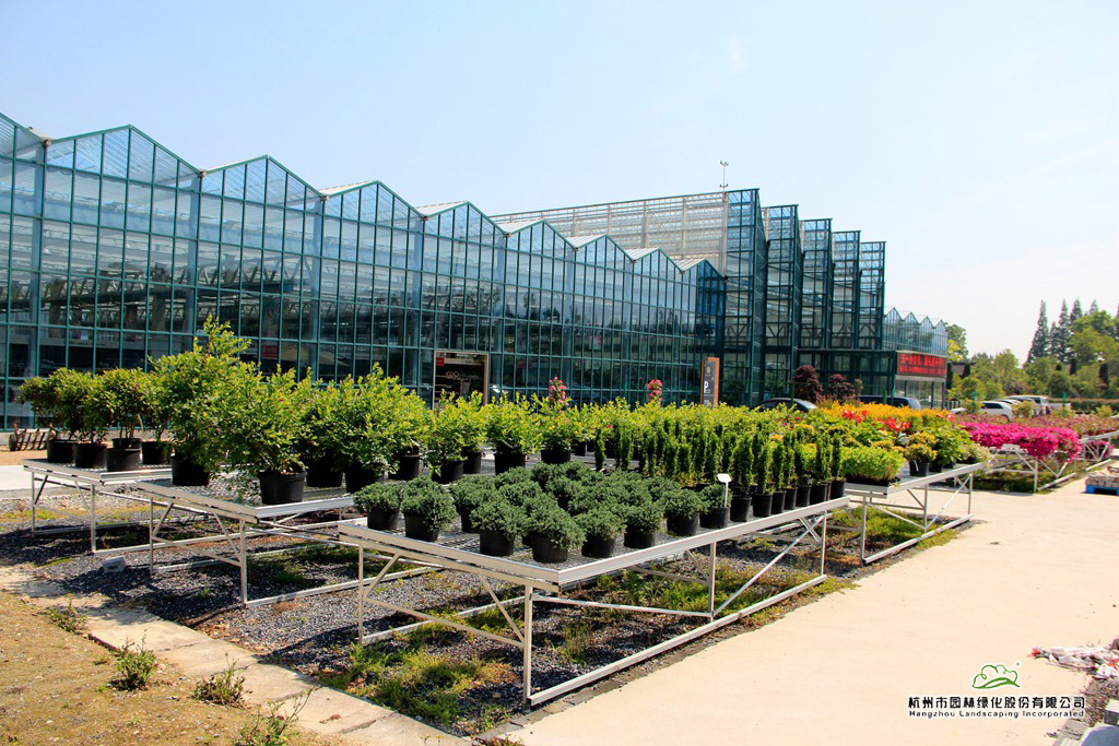 亚洲精品白浆高清久久久久久