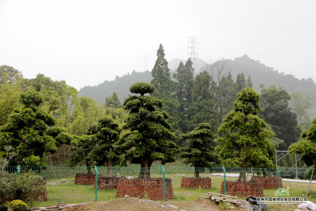 亚洲精品白浆高清久久久久久