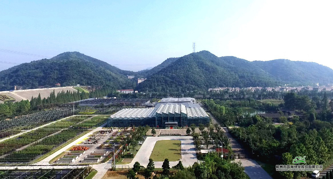 亚洲精品白浆高清久久久久久