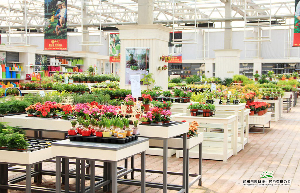 亚洲精品白浆高清久久久久久