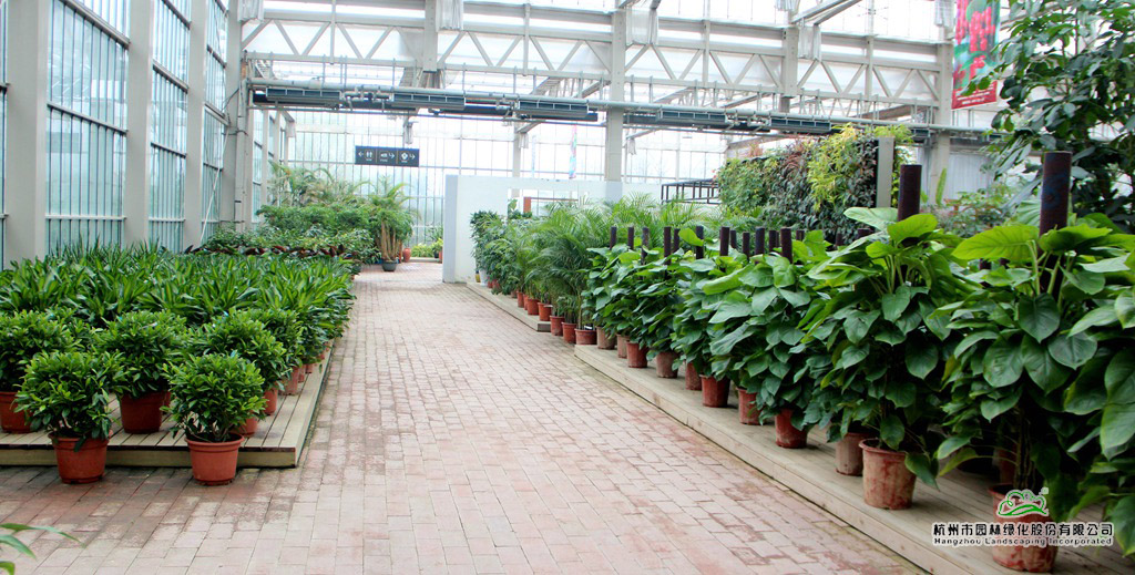 亚洲精品白浆高清久久久久久