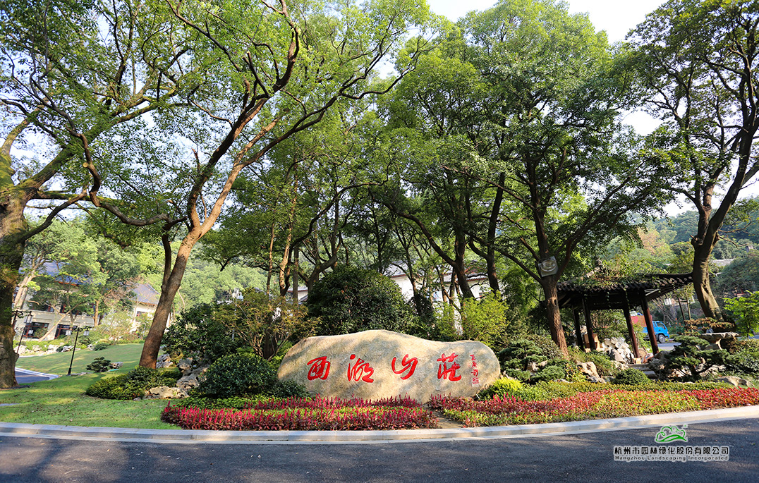 亚洲精品白浆高清久久久久久