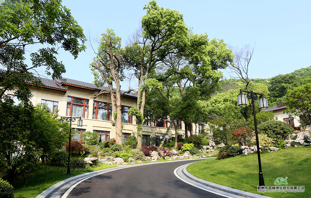 亚洲精品白浆高清久久久久久